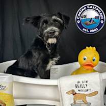 Thumbnail photo of Captain Sully #2