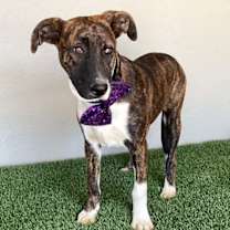 Thumbnail photo of Wendy #2