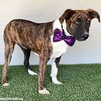 Thumbnail photo of Wendy #3