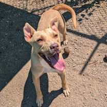 Thumbnail photo of Fiona #2