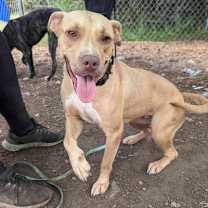 Thumbnail photo of Fiona #3