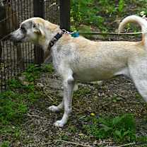 Thumbnail photo of Leah #1