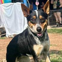 Thumbnail photo of Eleanor #2