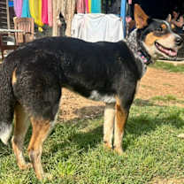 Thumbnail photo of Eleanor #4