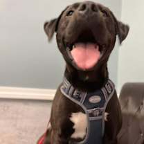 Thumbnail photo of Jenkins #4