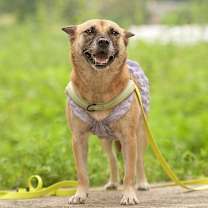 Thumbnail photo of Flowy (D) #3