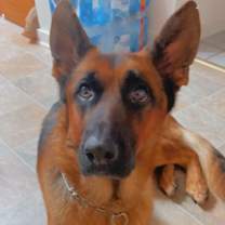 Thumbnail photo of Flex #1