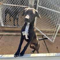 Thumbnail photo of Edge #3