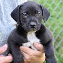 Thumbnail photo of Edge #4