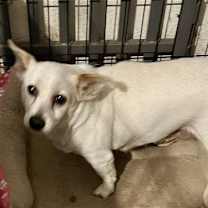 Thumbnail photo of **Snow #3