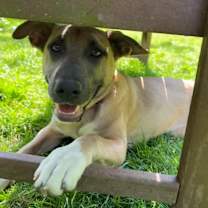 Thumbnail photo of Reba #2