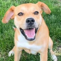 Thumbnail photo of Lexi #1