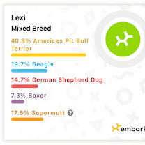 Thumbnail photo of Lexi #3