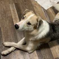 Thumbnail photo of Remi #1
