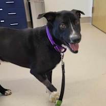 Thumbnail photo of Buster #4