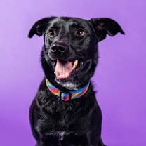 Thumbnail photo of Serena #2