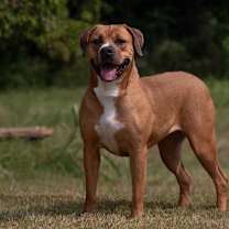 Thumbnail photo of Petra #1