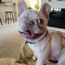 Thumbnail photo of Theo #1