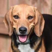Thumbnail photo of Arthur #1