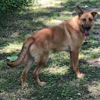 Thumbnail photo of Cookie #3