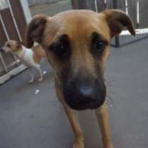 Thumbnail photo of Angie #4