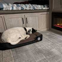Thumbnail photo of Bruce #4