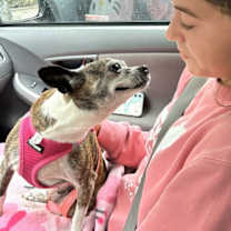 Thumbnail photo of ELLIE #4