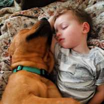 Thumbnail photo of Kolsch #2