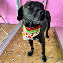 Thumbnail photo of BEAN #2