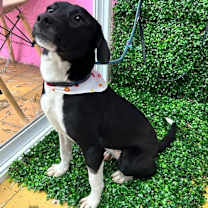 Thumbnail photo of NADIA #2