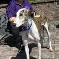 Thumbnail photo of Jinx #3