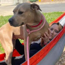 Thumbnail photo of Chicadee #2