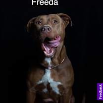 Thumbnail photo of Freeda #1