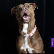 Thumbnail photo of Freeda #3