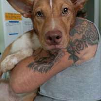 Thumbnail photo of Joy #1