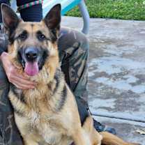 Thumbnail photo of Natalie #1