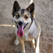 Thumbnail photo of Viktoria #1