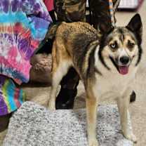 Thumbnail photo of Viktoria #4