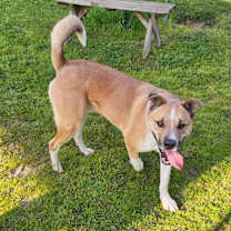 Thumbnail photo of Buddy #2