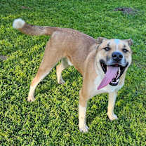 Thumbnail photo of Buddy #3