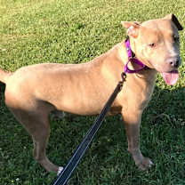 Thumbnail photo of Ricky #4