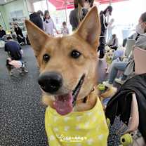 Thumbnail photo of Cooper (D) #2