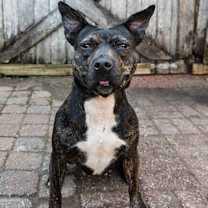 Thumbnail photo of Ellie #4