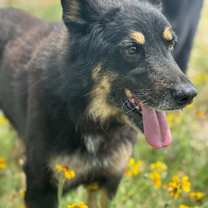 Thumbnail photo of Max #1