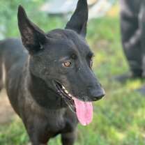 Thumbnail photo of Bear #1