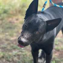 Thumbnail photo of Bear #3