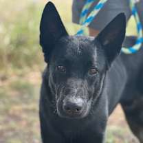 Thumbnail photo of Bear #2