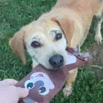 Thumbnail photo of Daisy Hill #1