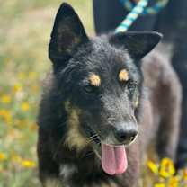 Thumbnail photo of Max #1