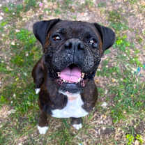 Thumbnail photo of Bonnie IV #1